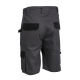 COMMANDER BERMUDA SZÜRKE 100% PAMUT_4XL (csgt) COMMANDER BERMUDA SZÜRKE 100% PAMUT_4XL (csgt)